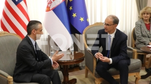 U išekivanju ambasadora